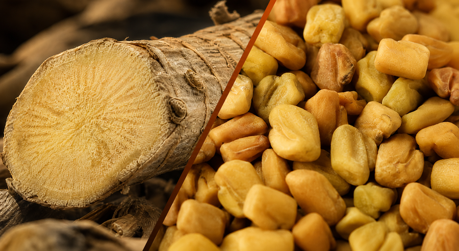 Fenugreek vs Tongkat Ali for Testosterone, Libido, and Energy